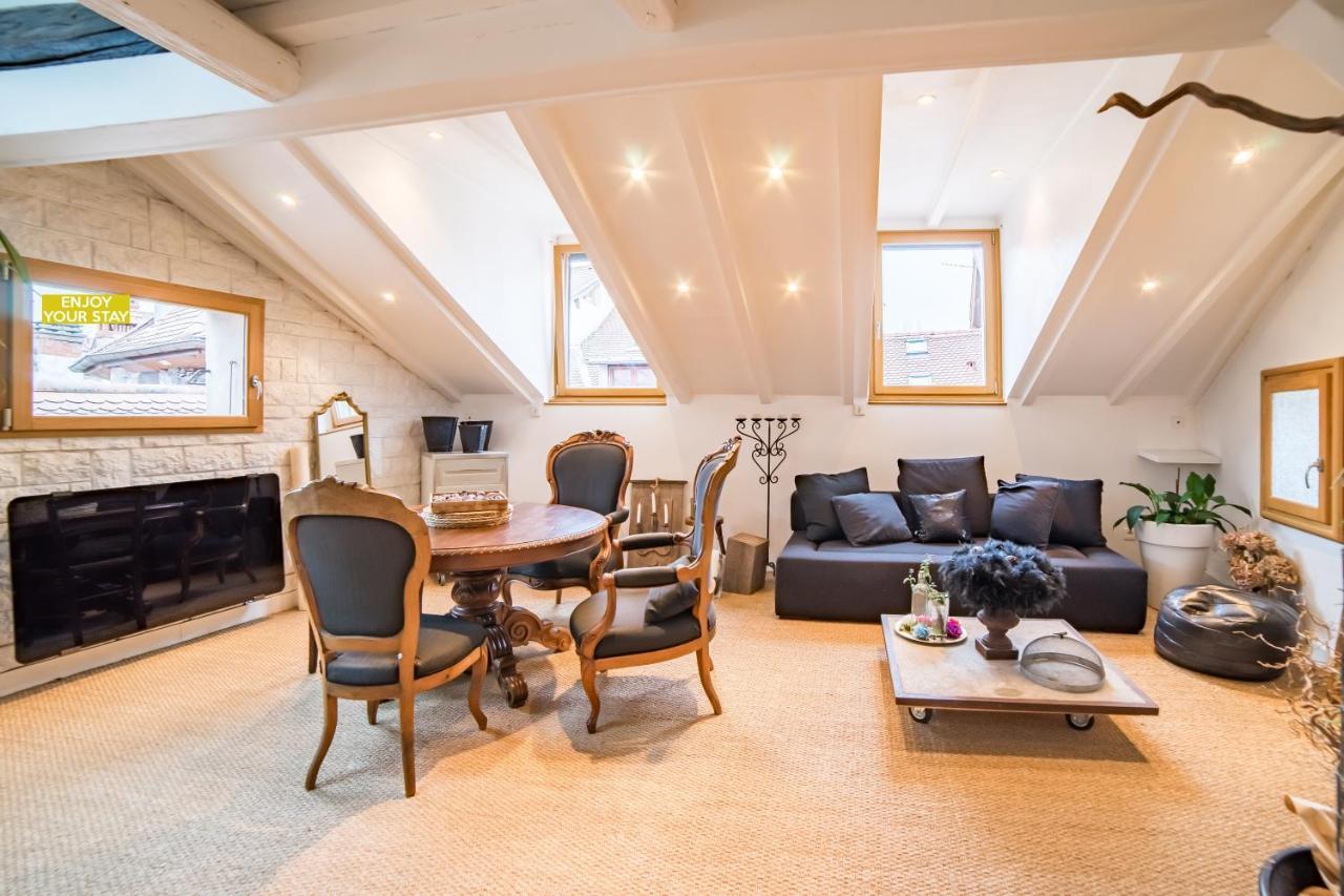 Appartements Atypiques Centre Ville Анси Екстериор снимка